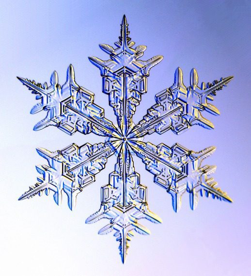 Winter Blitz II Stitch In - January 30th -Feb 1st 2026