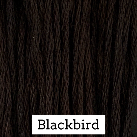 Blackbird