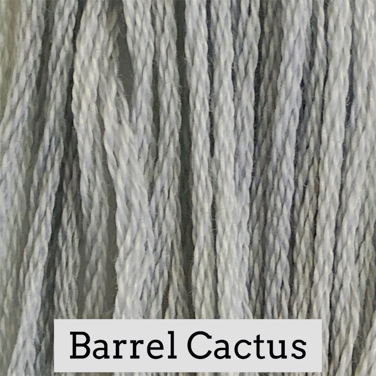 Barrel Cactus